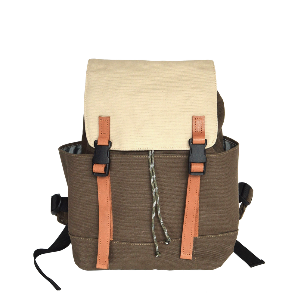 Alexis 309 Taupe Brown & Cream | Small Backpack